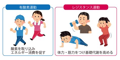 運動|運動は健康に欠かせない？運動の種類ごとの効果を紹。